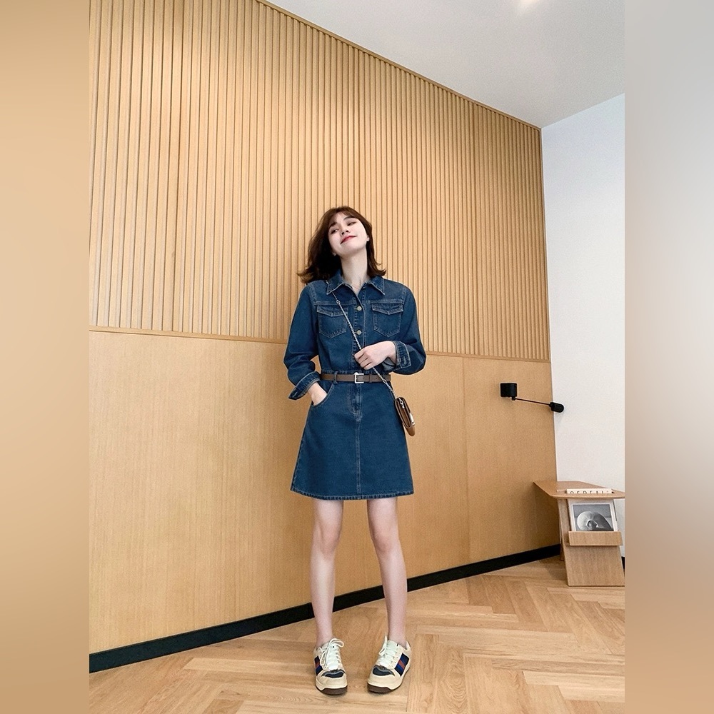 Long-sleeve Demi Dress